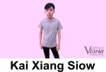 Kai Xiang Siow Oil Paint Tutor Trainer at Viana Academy of Art Batu Pahat Johor Malaysia 油画指导 峇株巴辖 维也纳艺术学院 柔佛 马来西亚