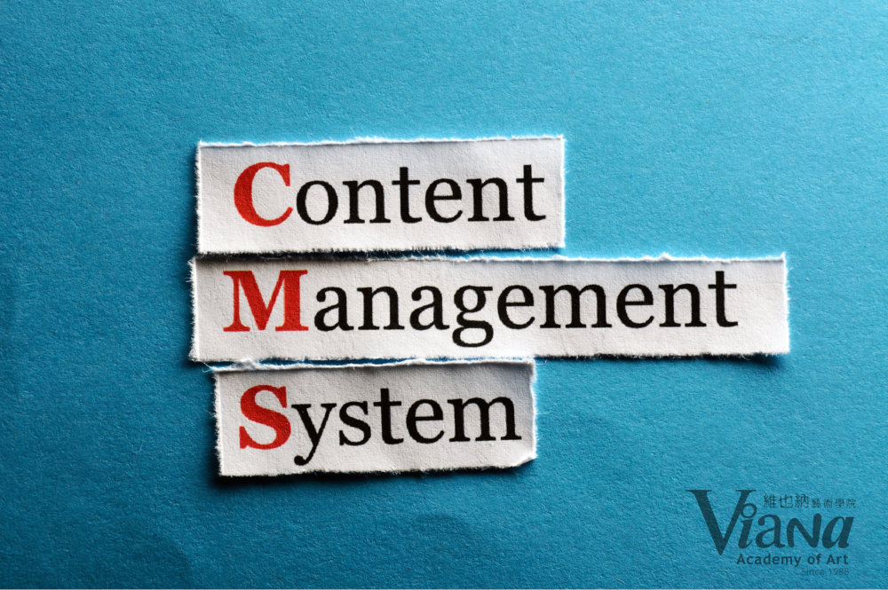 Raymond Ong 王家豪 Web Design Website Development Tutor Trainer at Viana Academy of Art Batu Pahat Johor Malaysia 网站制作 峇株巴辖 维也纳艺术学院 柔佛 马来西亚